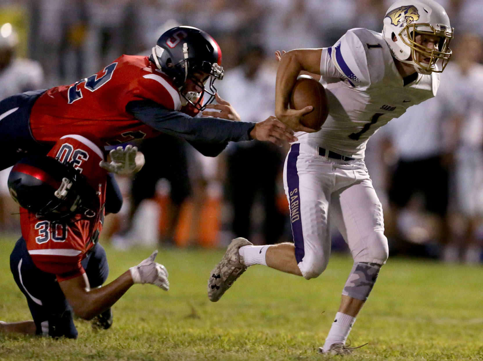 Sabino vs Sahuaro